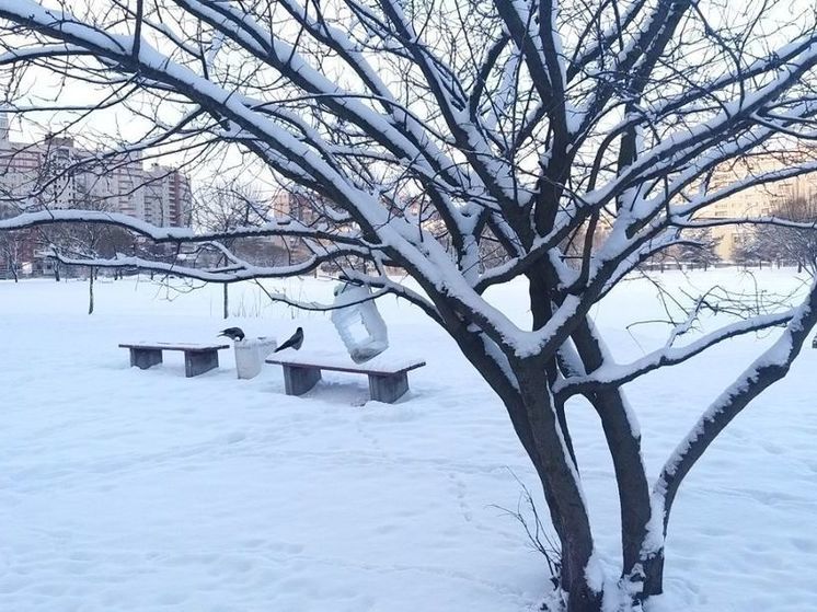 Атмосферный фронт принес в Петербург холода и снег