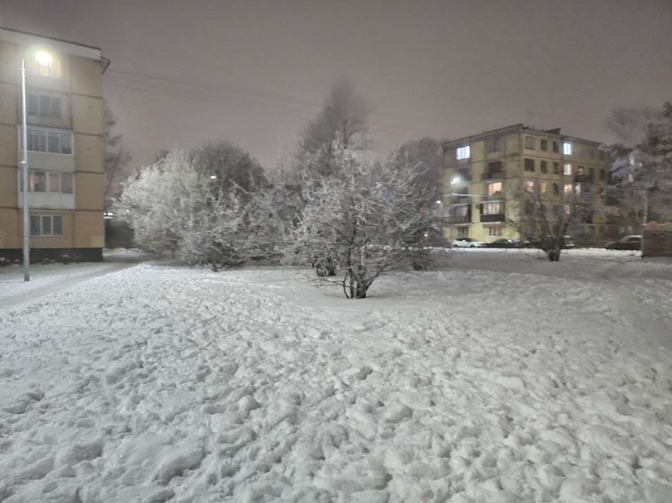 Новгородцам пообещали крепкие морозы в рождественскую ночь