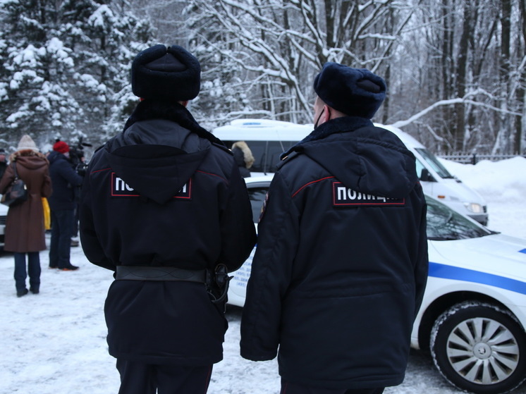 Двое мужчин одновременно погибли в частном доме в Егорьевске