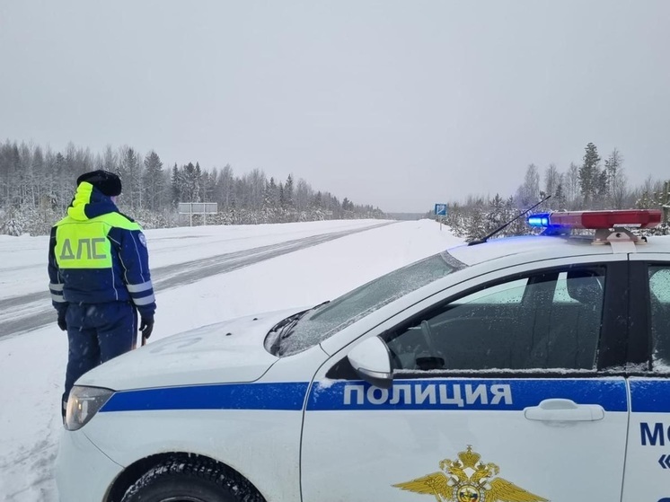 Госавтоинспекция предупредила свердловчан об опасности на трассах региона