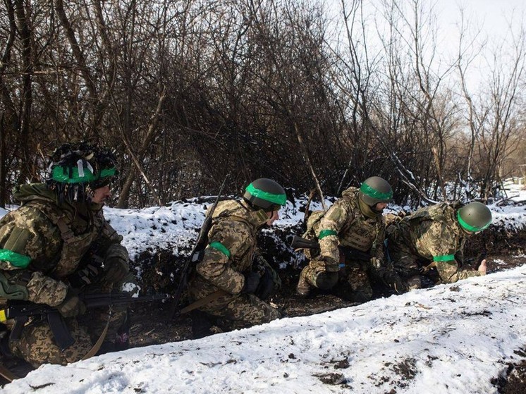 Военкор Алёхин сообщил об активности ВСУ на Суджанском направлении в Курской области