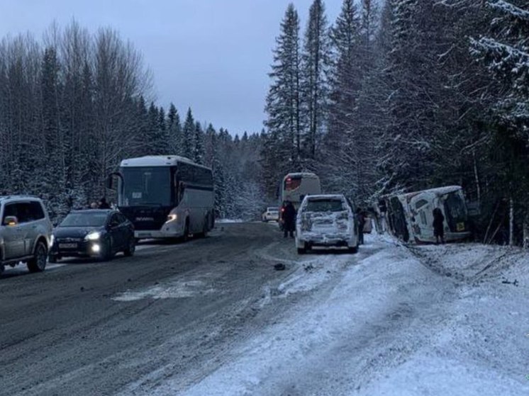 Подробности аварии с туристическим автобусом в Карелии сообщили в полиции