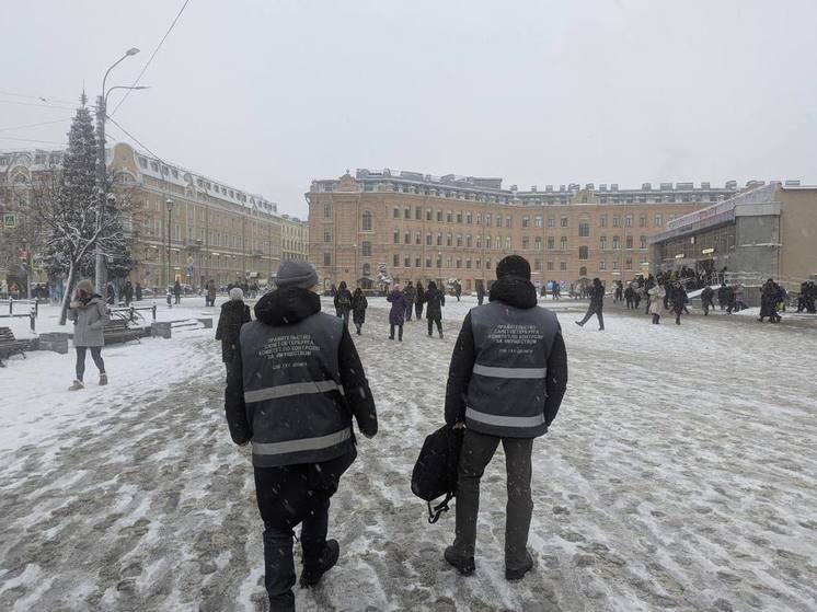 В Петербурге проведут рейд по поиску незаконных объектов уличной торговли