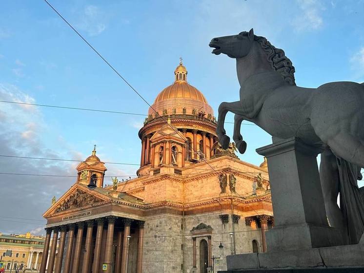 В Петербурге провели мероприятия по профилактике незаконной торговли на улицах