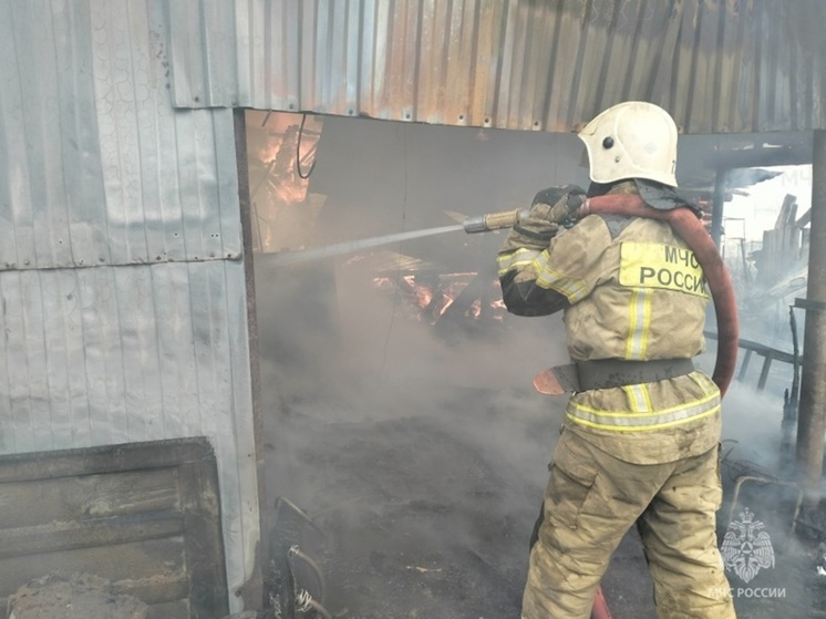 Мужчину спасли из горящего садового дома под Екатеринбургом