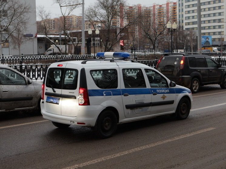 В Петербурге полицейские задержали мужчину, систематически избивавшего мать-блокадницу