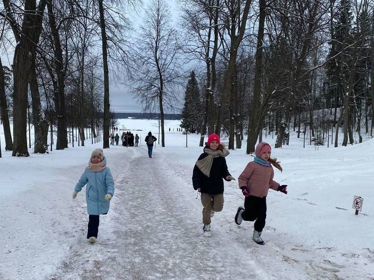 В Парке Монрепо запретили кататься на «ватрушках»