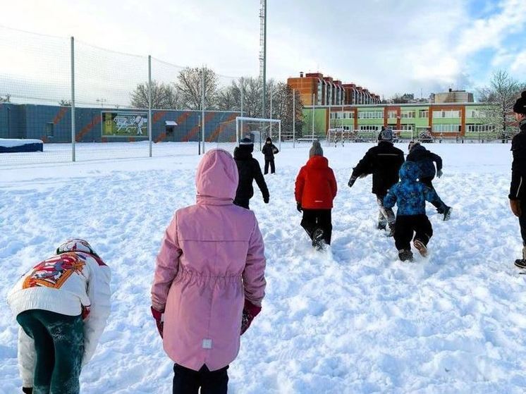 Фрисби-гольф, регби-догонялки, битва снежками: в Янино прошли снежные соревнования