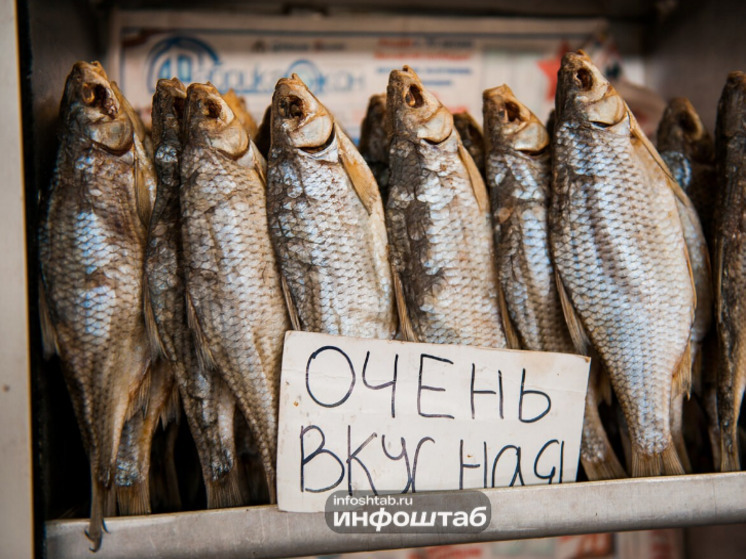 Астрахань и рыбалка – понятия неразрывно связанные