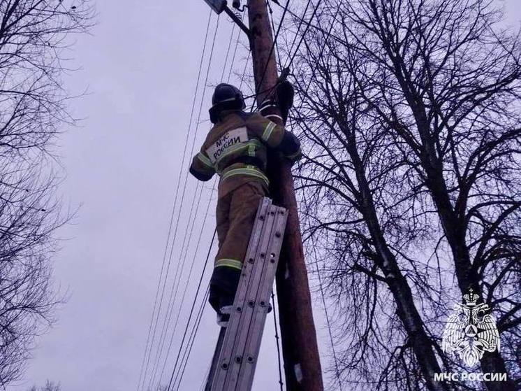 В Тверской области сотрудники МЧС сняли кота с высокого столба