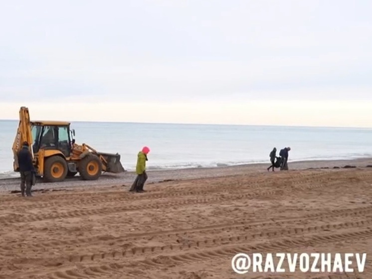 На пляжах Севастополя собрали более 84 тонн загрязненного мазутом грунта