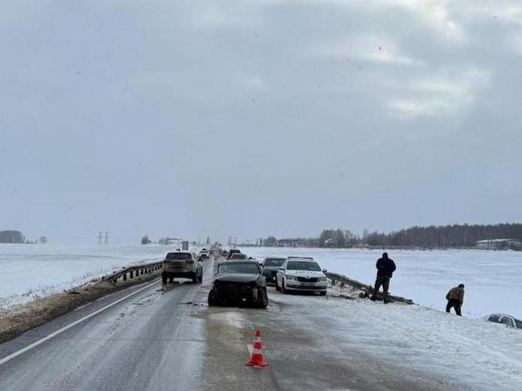 Пять человек пострадали в массовом ДТП на трассе М-6 в Скопинском районе