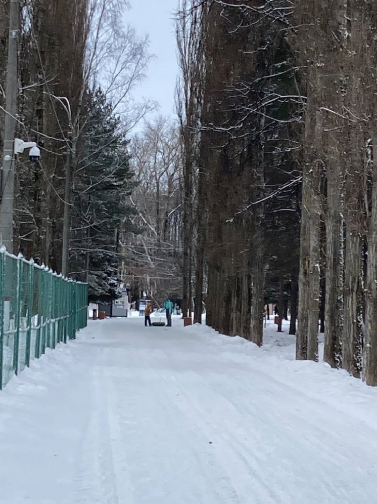 Пасмурно и -5°С ожидается 6 января в Нижнем Новгороде