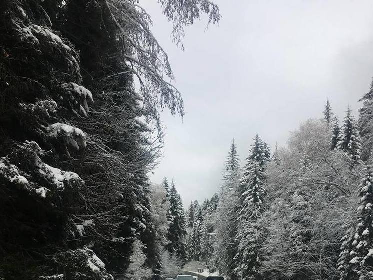 Транскавказскую магистраль открыли для всех видов транспорта