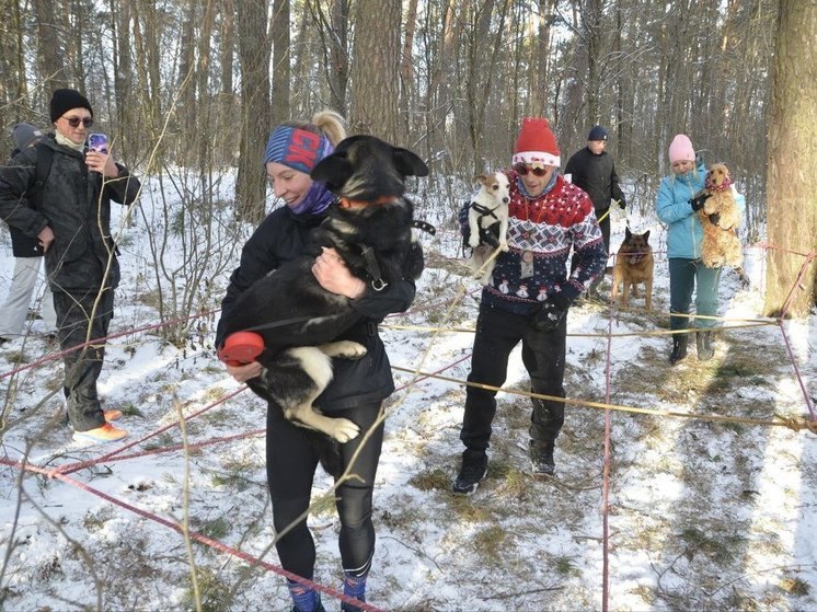 В Серпухове провели гонки с собачками