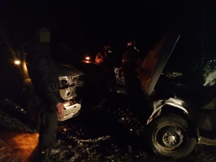 ДТП с пострадавшим произошло в Шигонском районе Самарской области 5 января