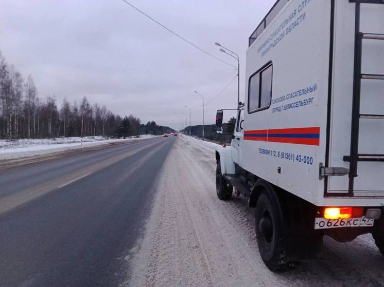 В Кингисеппском районе зафиксировали подъем воды в реке Луга