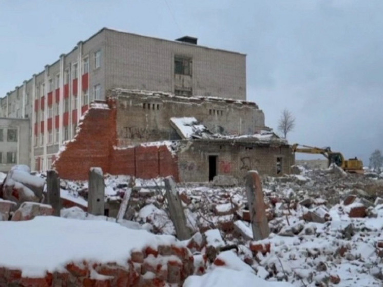 В Тамбове произошла ликвидация аварийного здания рядом с школой