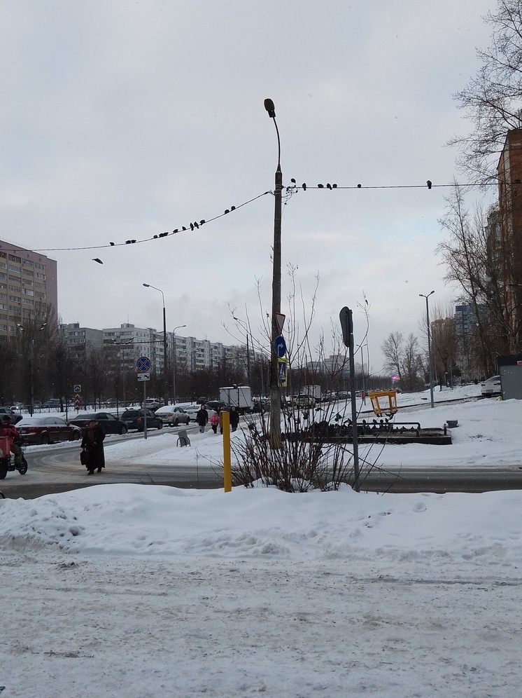 На Рождество в Татарстане ожидается мороз и метель