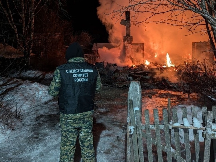 Мужчина погиб при пожаре в Пудожском районе