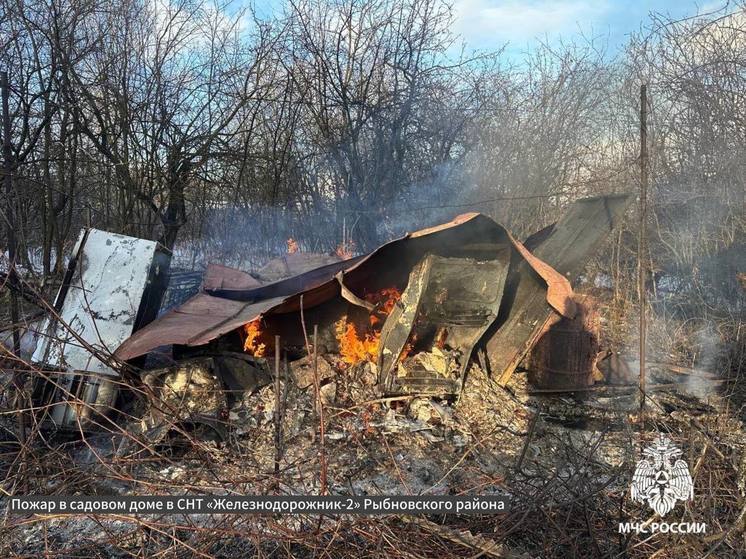 Дача сгорела в Рыбновском районе под Рязанью