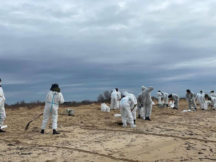 С побережья Анапы и Темрюкского района убрали и вывезли свыше 118 000 тонн замазученного песка