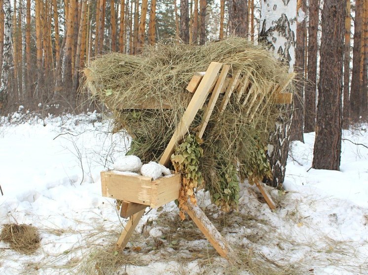 На Южном Урале разложили в кормушки лесных животных 10 тонн сена и 5 тонн соли