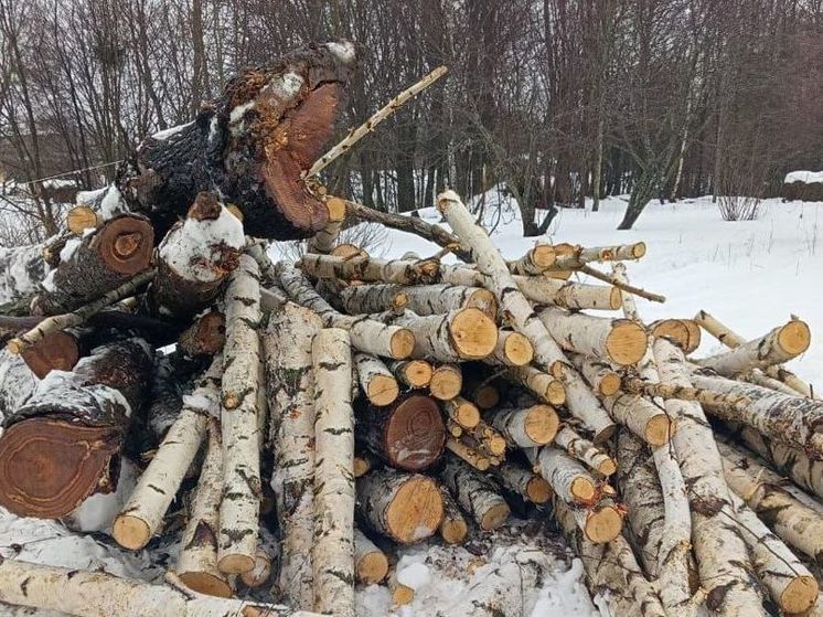 Бдительные жители Моргаушского округа сообщили о незаконной вырубке леса