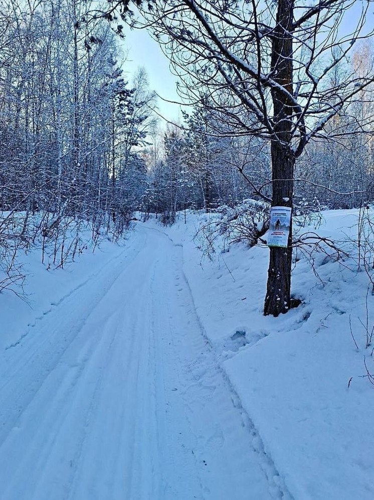 В Бурятии сегодня ожидается неустойчивая погода