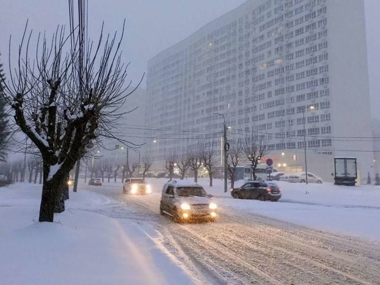 8 января в Пензенской области порывы южного ветра достигнут 19 метров в секунду