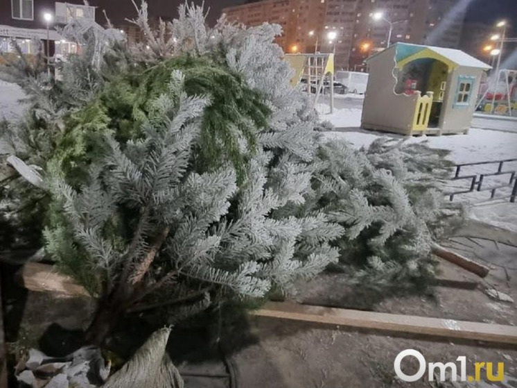 В Омске некуда сдавать елки после Нового года