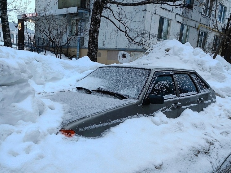 Новгородцев предупредили о сильном снегопаде в ночь на 8 января