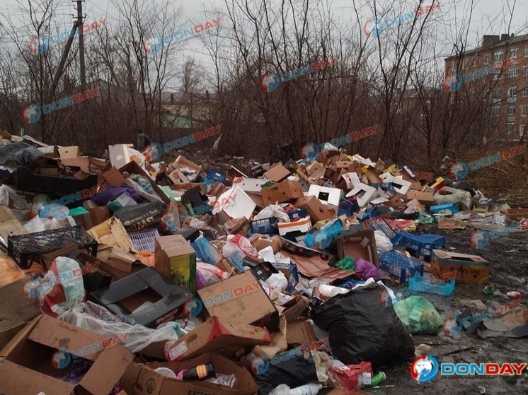 На улицах города Гуково настоящий мусорный апокалипсис