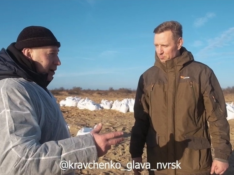 Глава Новороссийска проверил, в каких условиях жители города убирают замазученный грунт с побережья