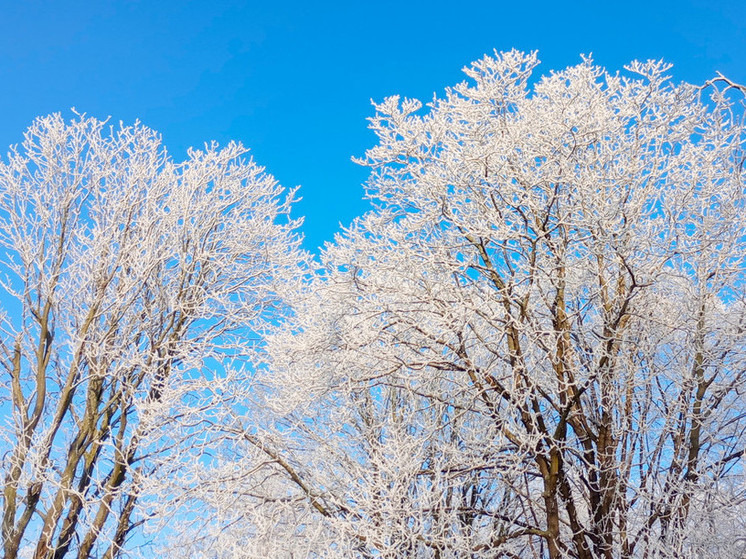 Погода 8 января в Якутске: температура достигает -34°C