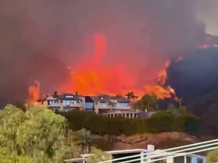 Резиденция Харрис в Лос-Анджелесе попала в зону эвакуации из-за пожара