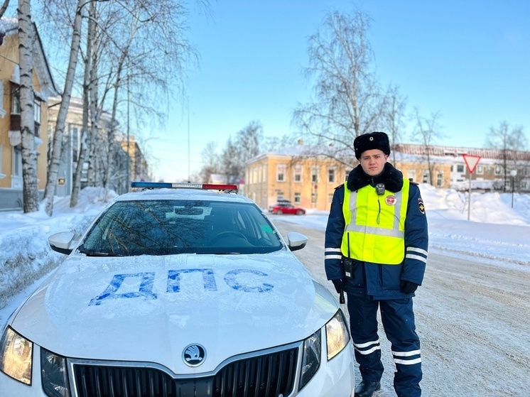 В Петрозаводске проверят безопасность маленьких пассажиров