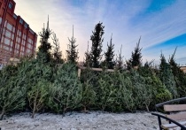 Длинные новогодние каникулы практически закончились, правда, впереди ещё один важный для россиян праздник - старый Новый год