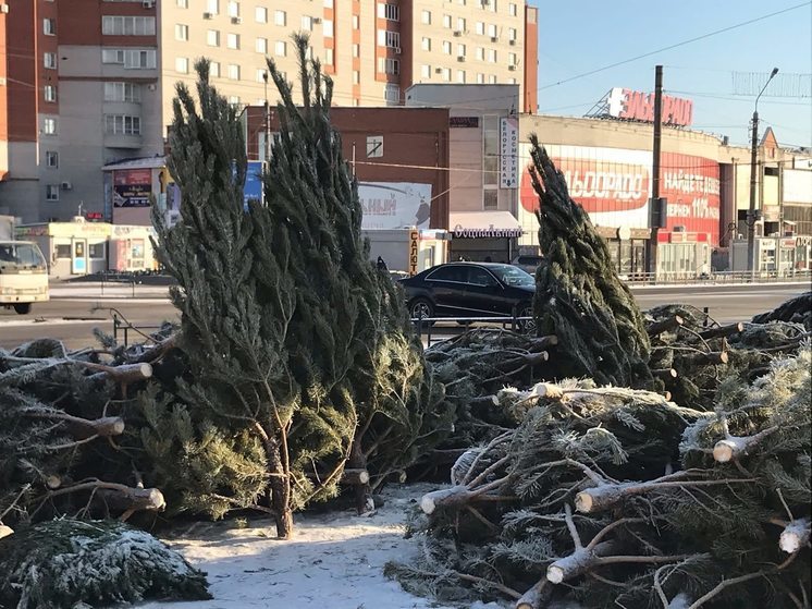 Большереченский зоопарк отказался от елок после праздников