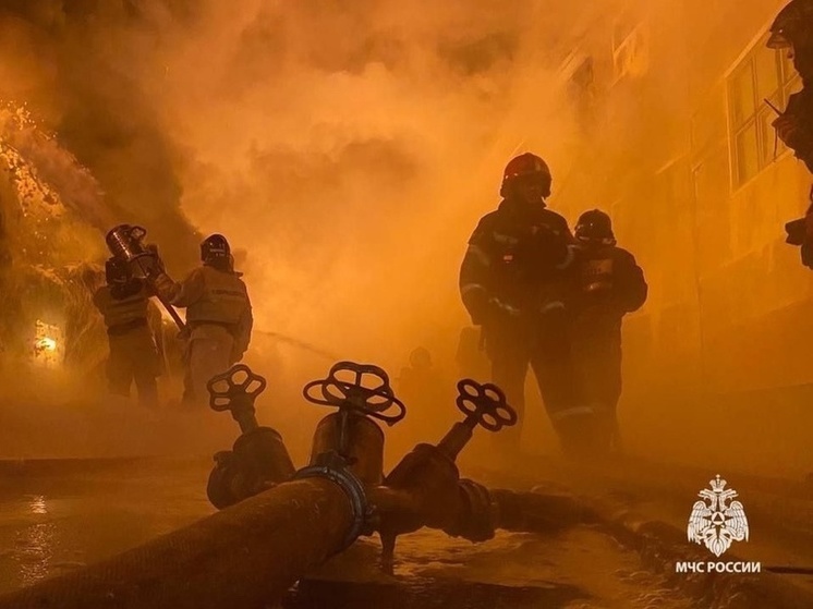 МЧС напомнило костромичам о том, как надо правильно топить печи