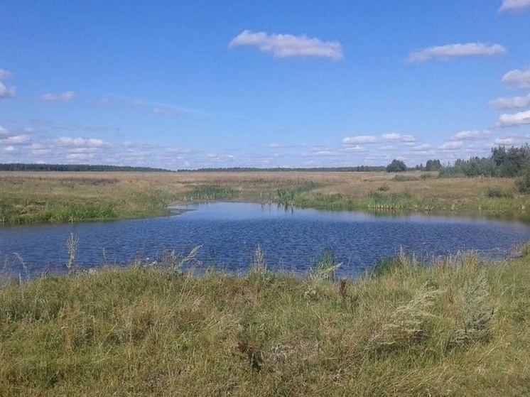 В Меленковском районе оборудуют развороты у противопожарных водоемов