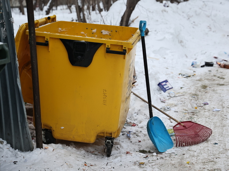 В Челябинске прокуроры заставили УК привести в порядок мусорную площадку