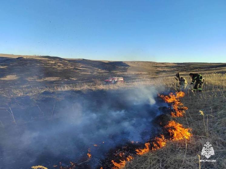 В Шпаковском округе горит 10 га сухостоя