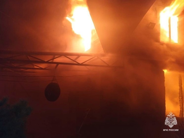 В великолукском СНТ горела баня