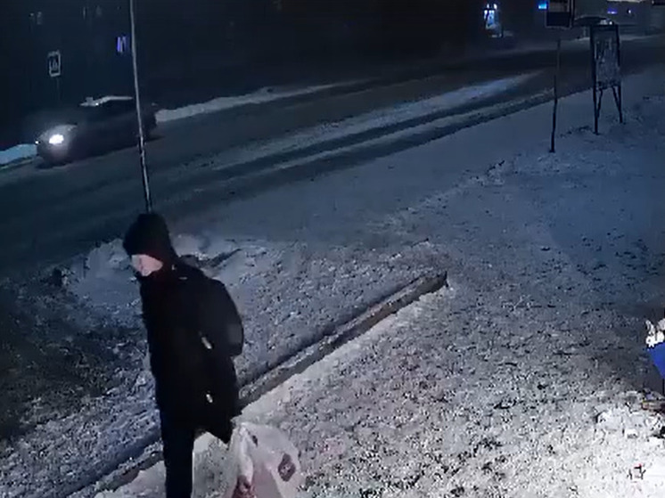 В Тверской области ГАИ ищет свидетелей наезда на пешехода