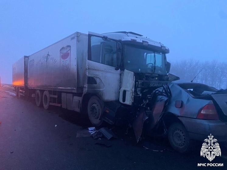 Жителя Самарской области взяли под стражу в Оренбуржье за ДТП с 5 погибшими