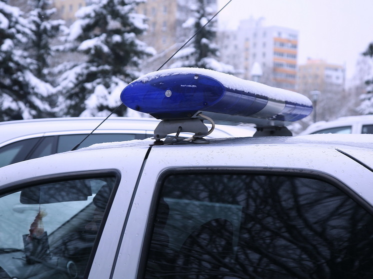 После анонимного звонка эвакуировали детей из школы в Подмосковье