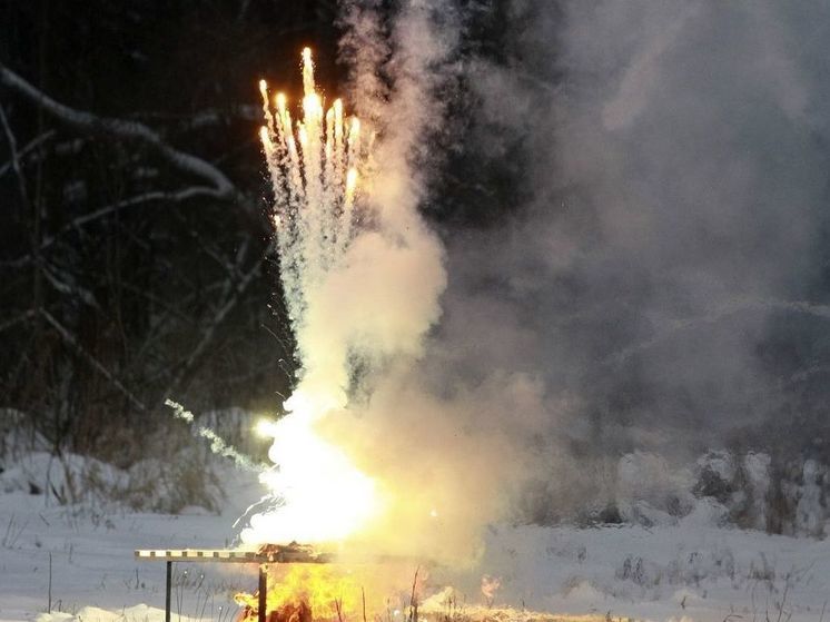 В Волоколамске арестовали мужчину, продавшего петарды детям