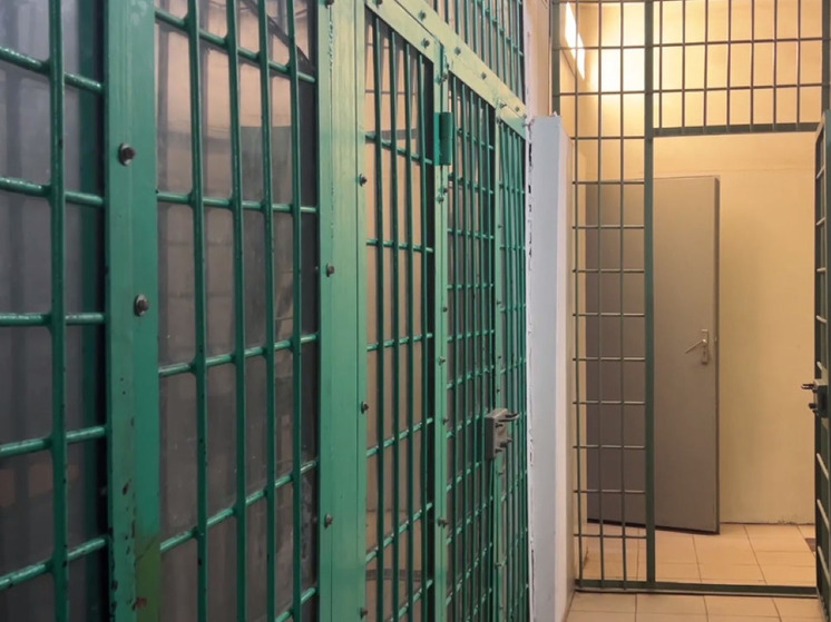 В Подмосковье задержали двух столичных драгдилеров, перевозивших гашиш