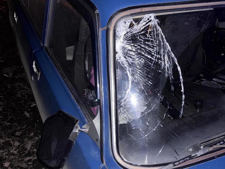 В Богучарском районе Воронежской области «Лада» насмерть сбила пешехода